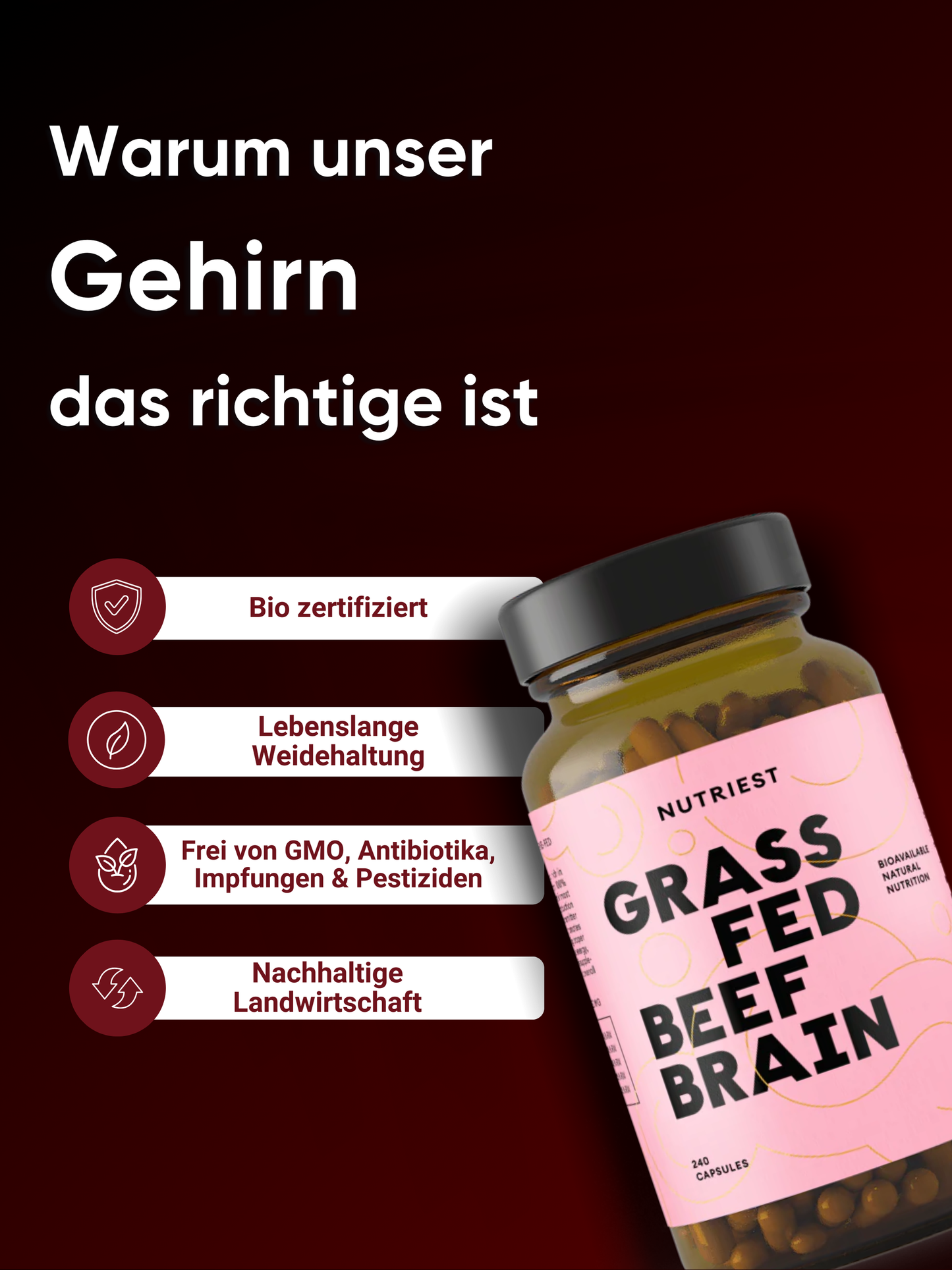 Cerebro de Res de Pastoreo Seco en Cápsulas