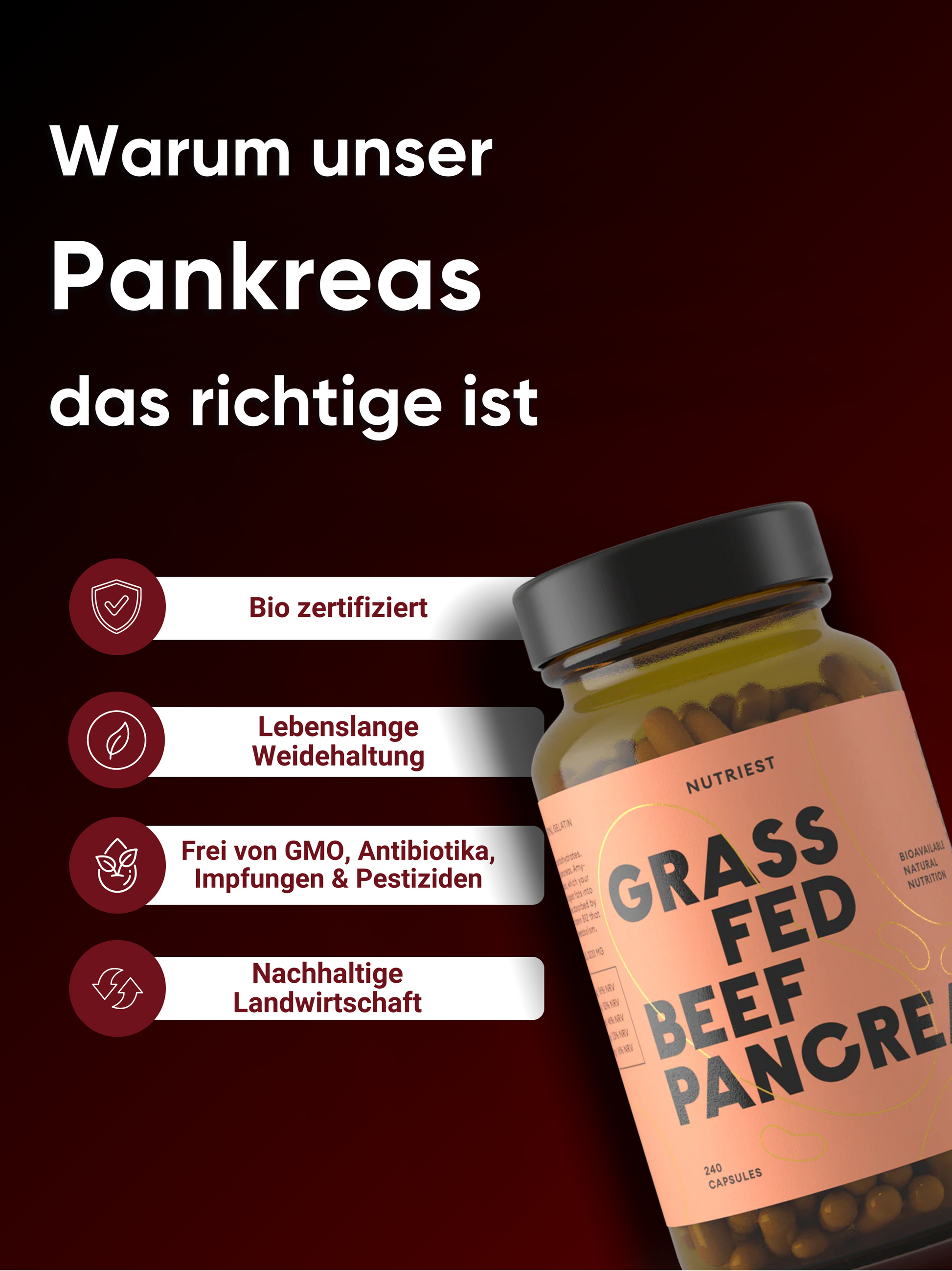 Getrocknetes Bio Weiderind Pankreas in Kapseln online kaufen | Raw Animal