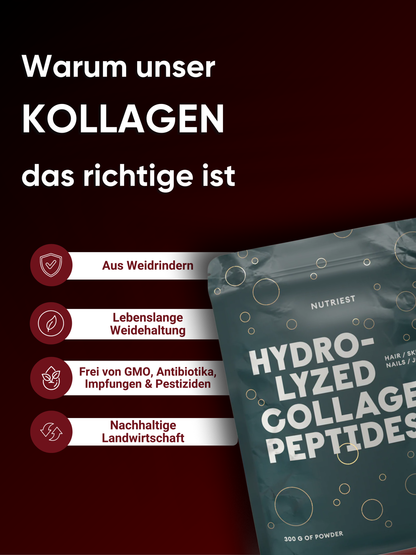 Hydrolysiertes Kollagen Pulver aus Weiderind online kaufen | Raw Animal