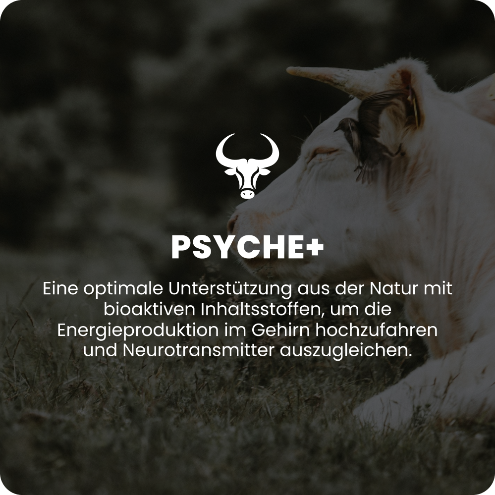 Psyche+