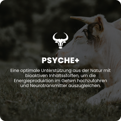 Psyche+