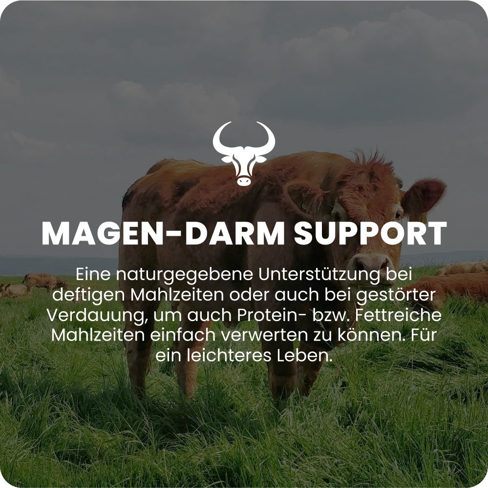 Magen-Darm Support online kaufen | Raw Animal