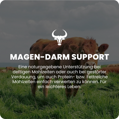 Magen-Darm Support online kaufen | Raw Animal