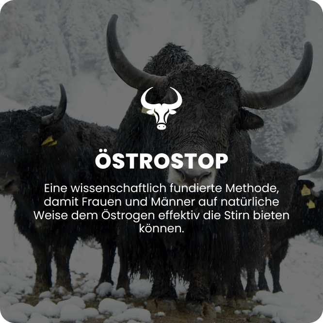 ÖstroStop