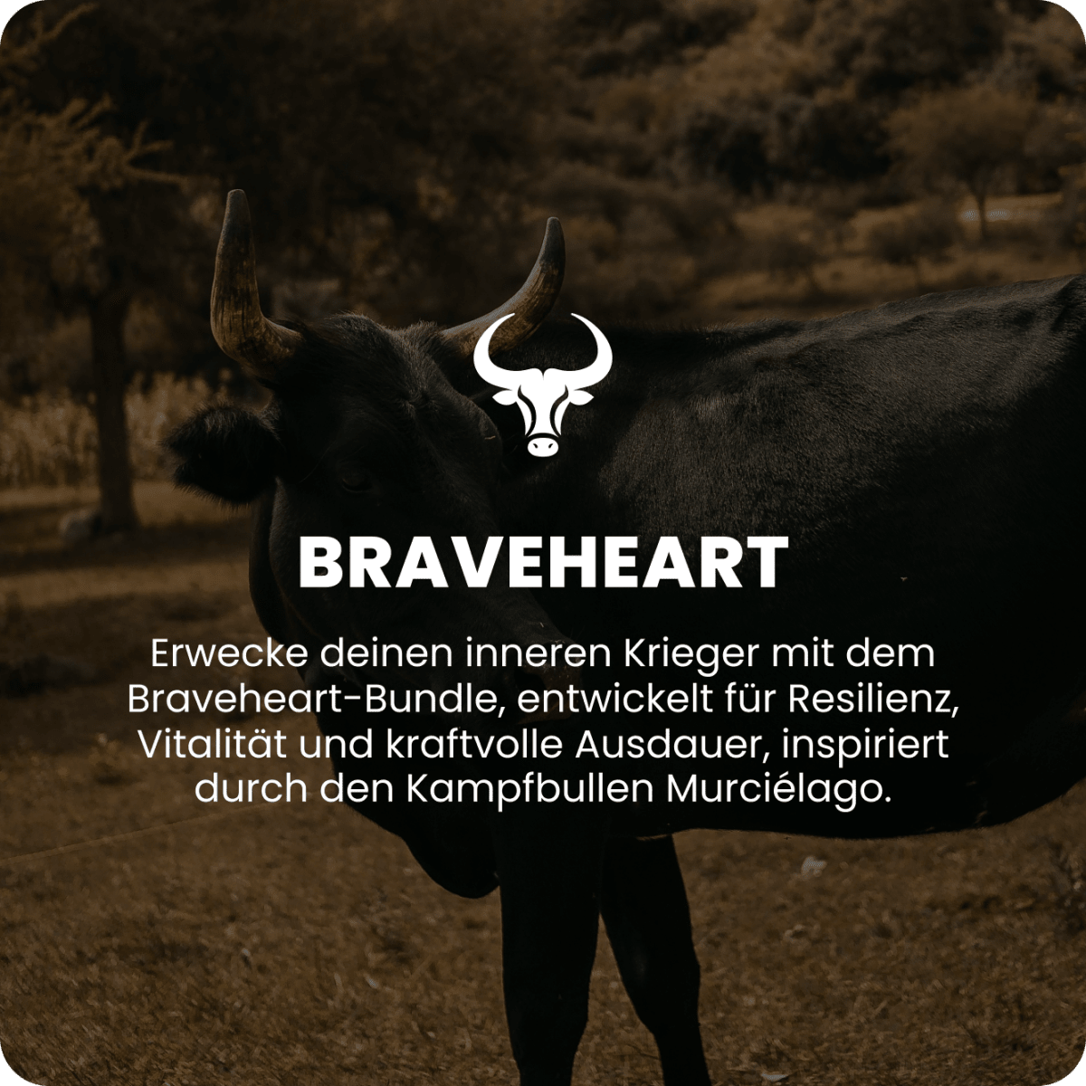 Braveheart Übersicht